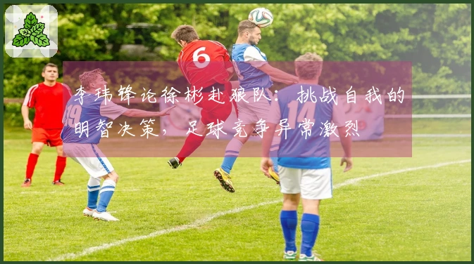 李玮锋论徐彬赴狼队:挑战自我的明智决策,足球竞争异常激烈