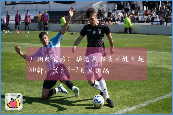 广州豹官方：杨浩眉部伤口缝合超30针，预计5-7日后拆线