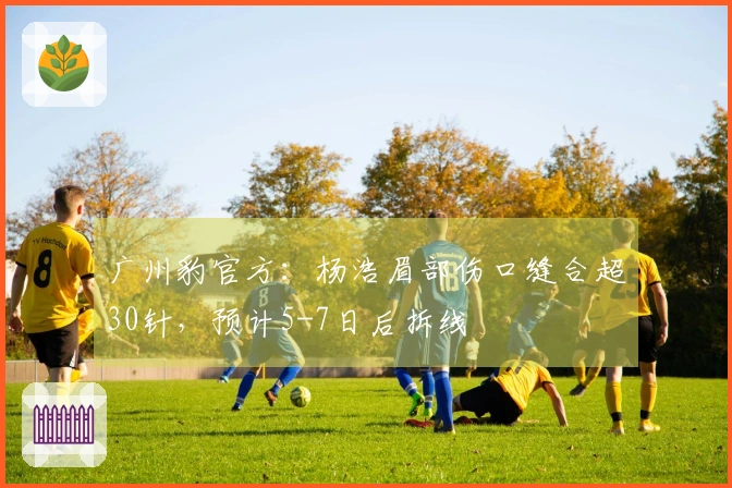 广州豹官方：杨浩眉部伤口缝合超30针，预计5-7日后拆线