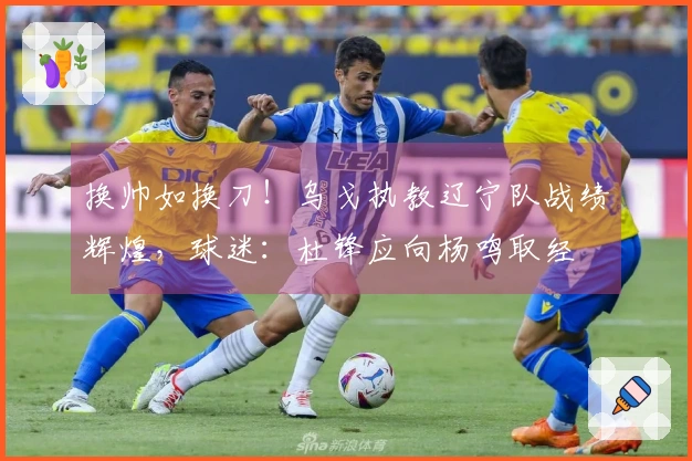 换帅如换刀！乌戈执教辽宁队战绩辉煌，球迷：杜锋应向杨鸣取经
